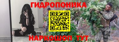 стаф Шебекино