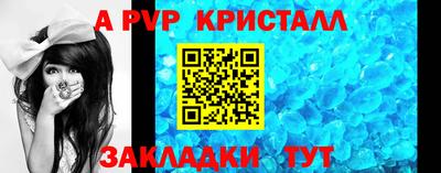 стаф Шебекино