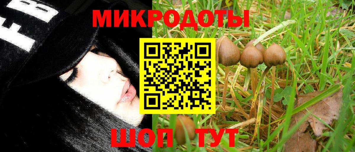 Галлюциногенные грибы Psilocybe  Вход с VPN  купить наркоту  Псилоцибиновые грибы GOLDEN TEACHER  Комсомольск-на-Амуре 