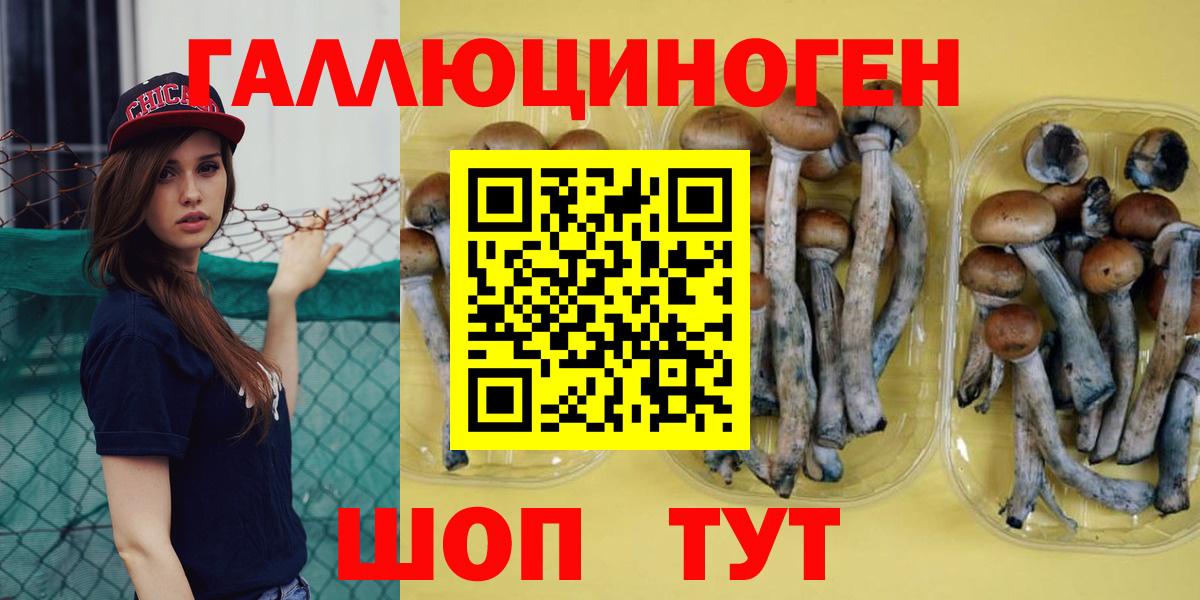 Псилоцибиновые грибы Psilocybe Комсомольск-на-Амуре